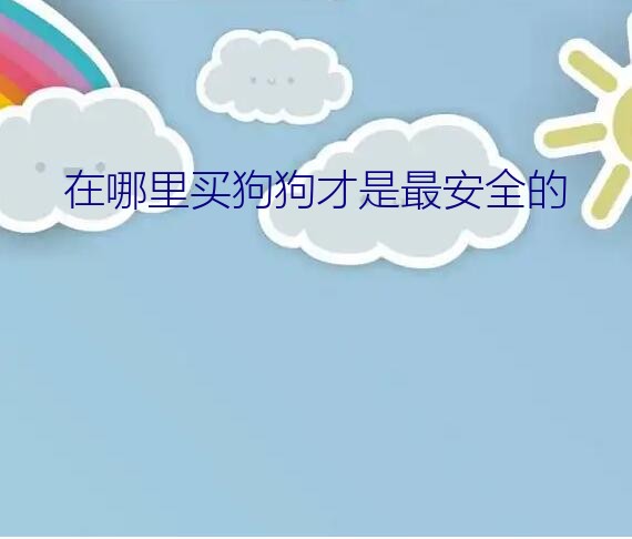 在哪里买狗狗才是最安全的？哪里买狗狗最放心最安全