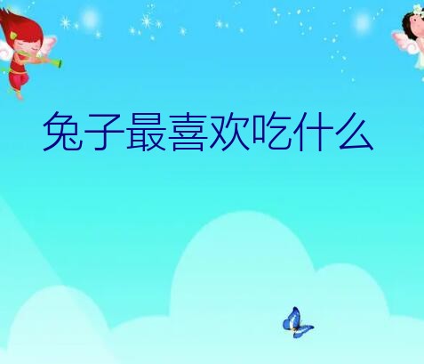 兔子最喜欢吃什么