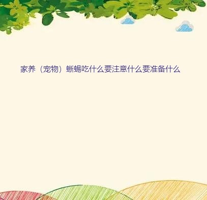 宠物蜥蜴怎么养（家养（宠物）蜥蜴吃什么要注意什么要准备什么）