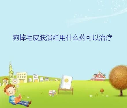 狗掉毛皮肤溃烂用什么药可以治疗