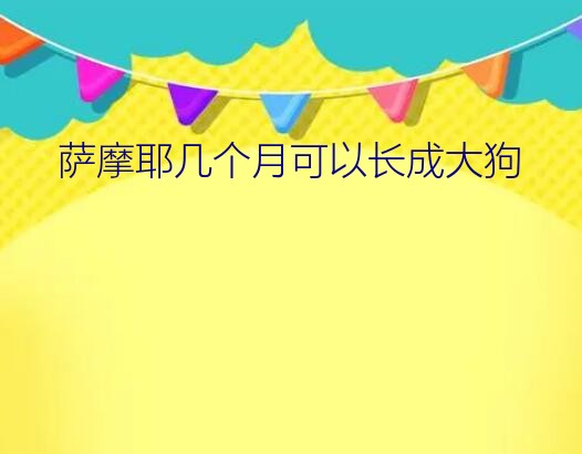 萨摩耶幼犬多久长大（萨摩耶几个月可以长成大狗）