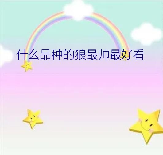 什么品种的狼最帅最好看