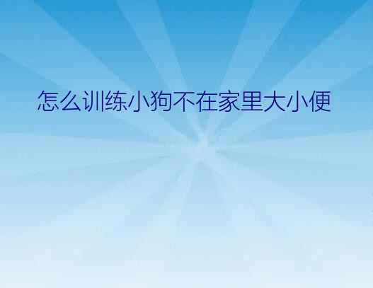 怎么训练小狗不在家里大小便