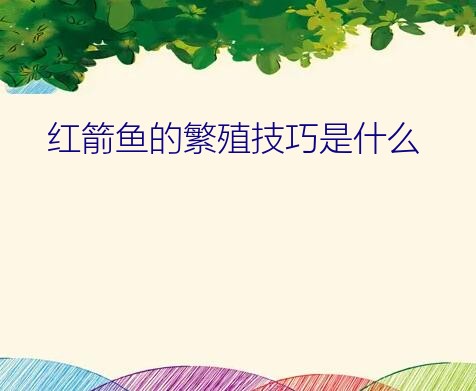 红箭鱼的繁殖技巧是什么？请教红箭鱼的繁殖问题