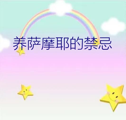 养萨摩耶的禁忌