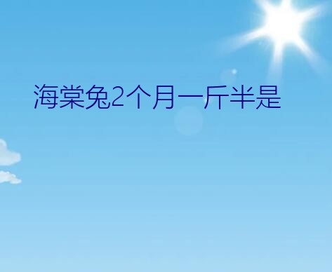 海棠兔2个月一斤半是？海棠兔聪明吗