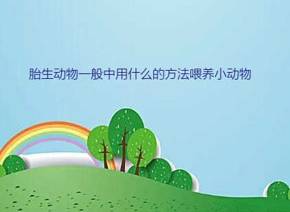 胎生动物一般中用什么的方法喂养小动物