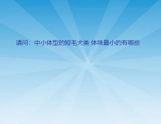 请问：中小体型的短毛犬类 体味最小的有哪些