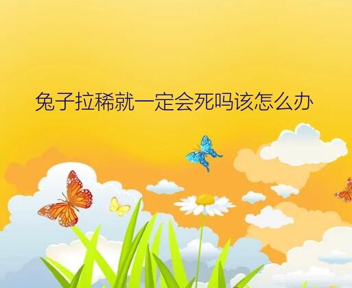 兔子拉稀就一定会死吗该怎么办