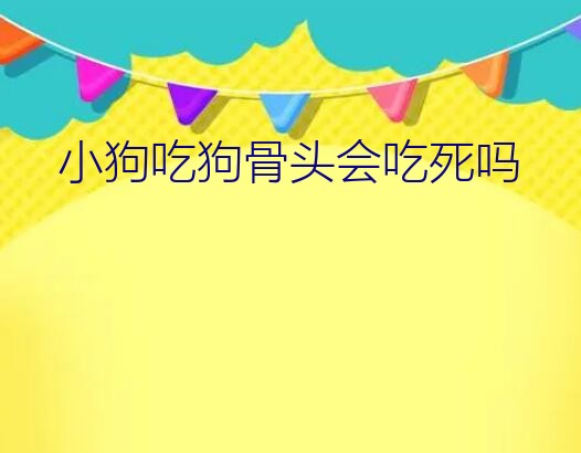 小狗吃狗骨头会吃死吗