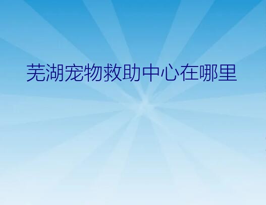 芜湖宠物救助中心在哪里？厦门哪里有流浪动物救助站