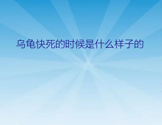 乌龟快死的时候是什么样子的