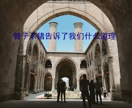 曾子杀猪告诉了我们什么道理