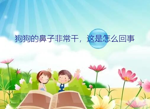 狗狗的鼻子非常干，这是怎么回事？小狗鼻子发干怎么办