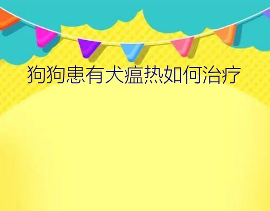 狗狗患有犬瘟热如何治疗