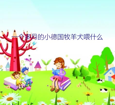 德牧幼犬喂养（一个多月的小德国牧羊犬喂什么）