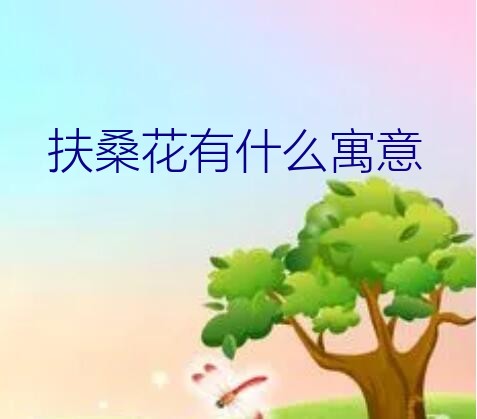 扶桑花有什么寓意？扶桑花的花语是什么呢