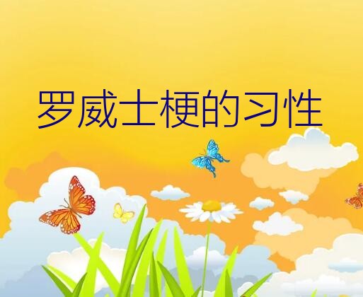 罗威士梗优缺点（罗威士梗的习性）