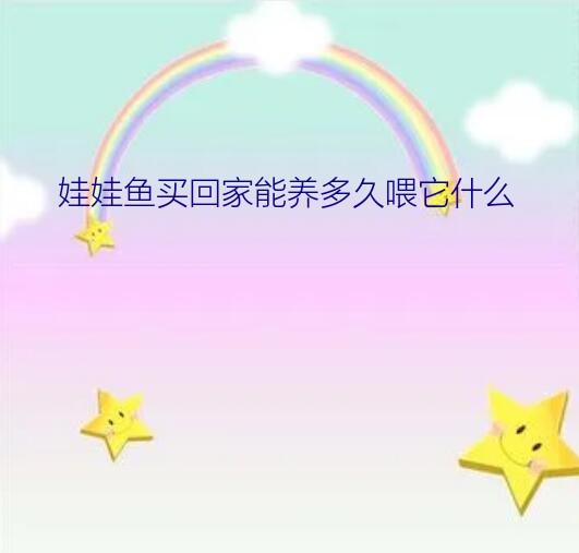 娃娃鱼家里养能活几天（娃娃鱼买回家能养多久喂它什么）