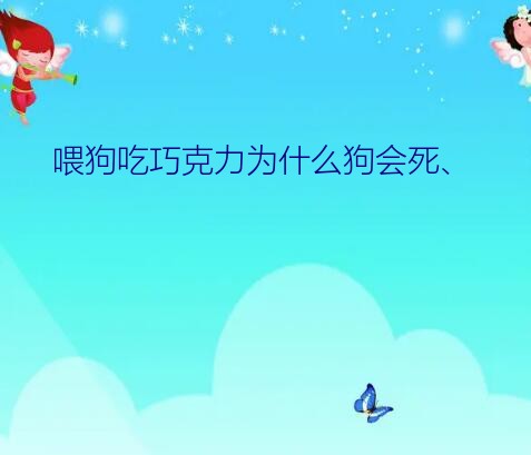 喂狗吃巧克力为什么狗会死、？喂狗吃巧克力为什么会致命