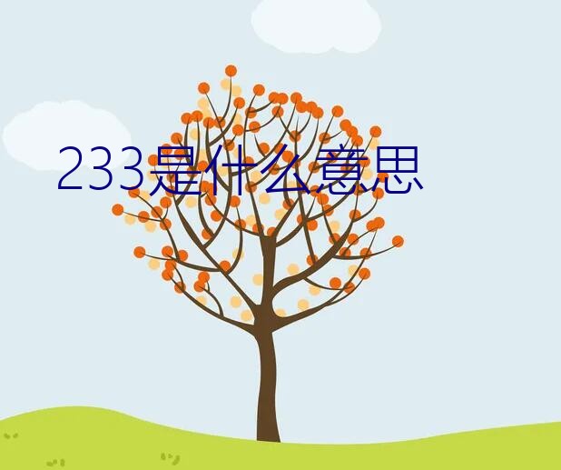 233是什么意思