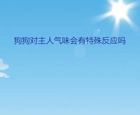 狗狗对主人气味会有特殊反应吗