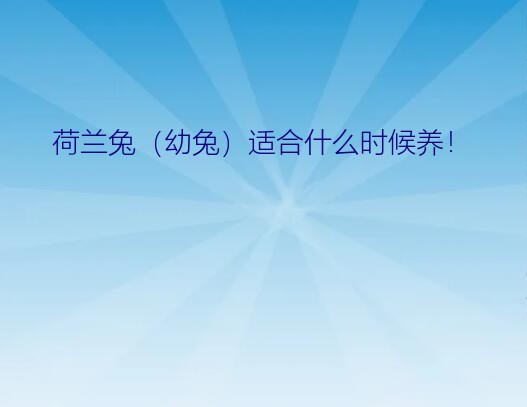 荷兰兔（幼兔）适合什么时候养！？荷兰兔的习性