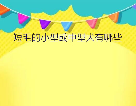 短毛的小型或中型犬有哪些