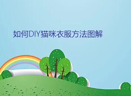 如何DIY猫咪衣服方法图解