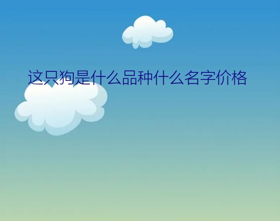 这只狗是什么品种什么名字价格