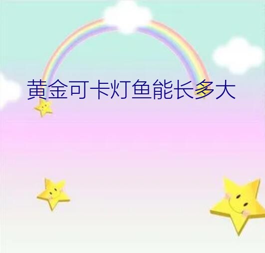 黄金可卡灯鱼能长多大