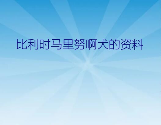 比利时牧羊犬四个类型（比利时马里努啊犬的资料）