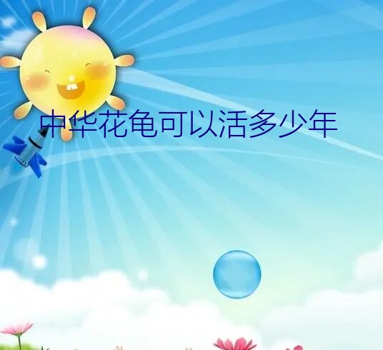 中华花龟可以活多少年