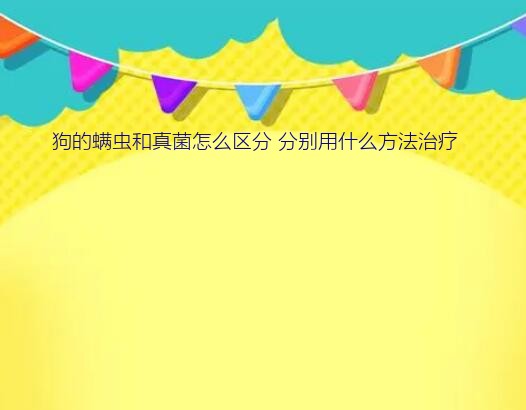 狗的螨虫和真菌怎么区分 分别用什么方法治疗