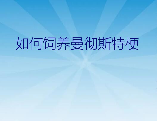 如何饲养曼彻斯特梗？曼彻斯特梗的外貌