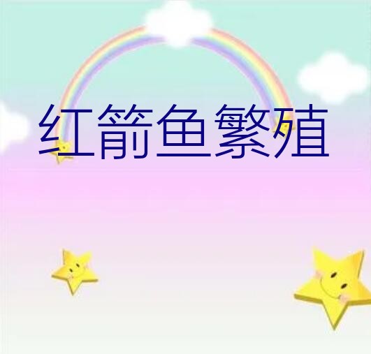 红箭鱼繁殖