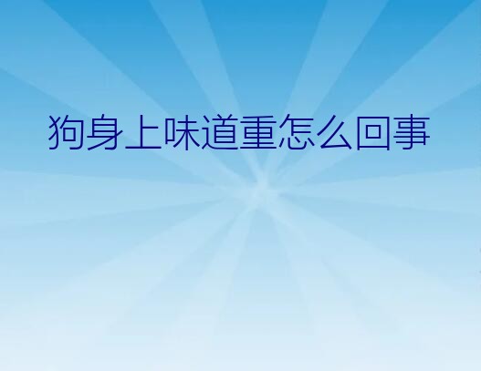 狗身上味道重怎么回事？狗狗体味大怎么办