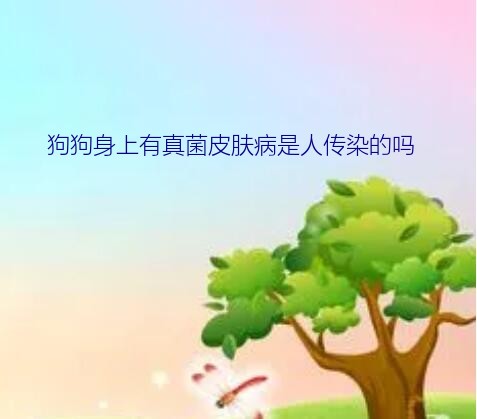 法斗皮肤病传染人吗（狗狗身上有真菌皮肤病是人传染的吗）