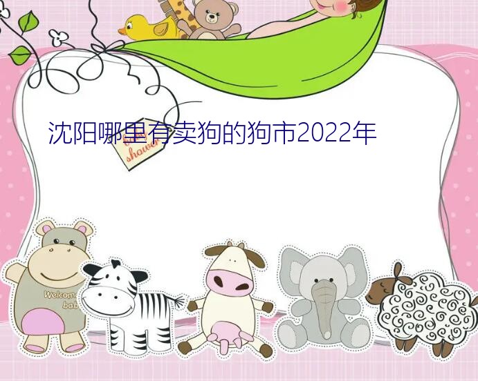 沈阳哪里有卖狗的狗市2022年