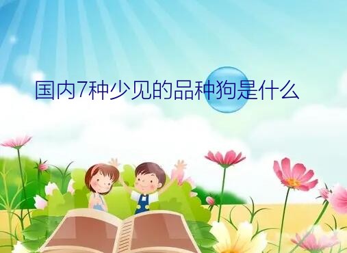 国内7种少见的品种狗是什么？我想知道上海有威玛猎犬买吗    纯种的幼崽大概多少钱呢我想要一对