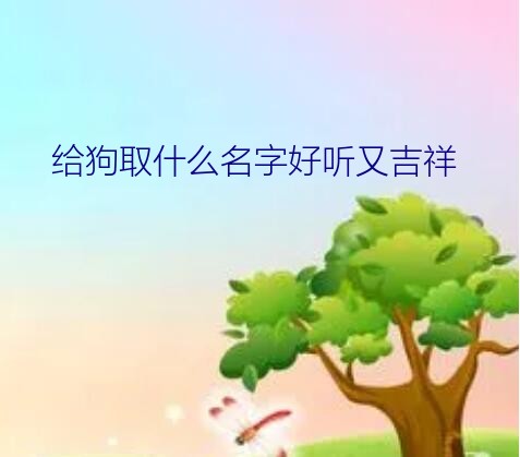 给狗取什么名字好听又吉祥