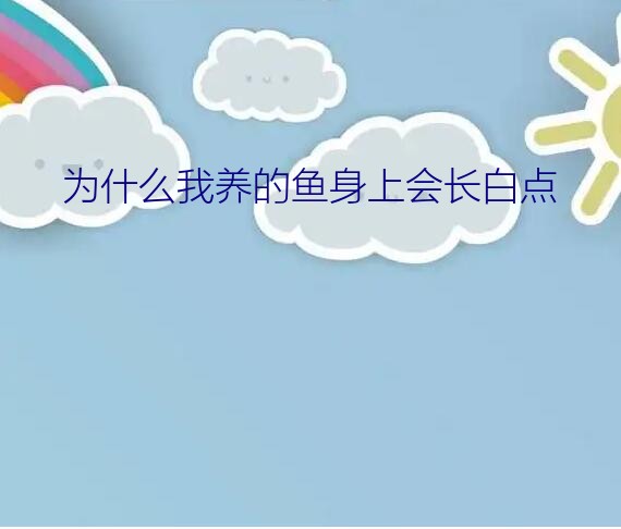 为什么我养的鱼身上会长白点