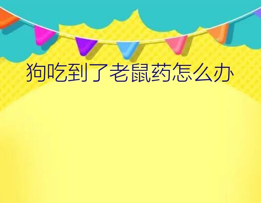 小狗吃了老鼠药怎么办（狗吃到了老鼠药怎么办）