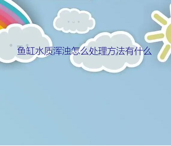 鱼缸水质浑浊怎么处理方法有什么