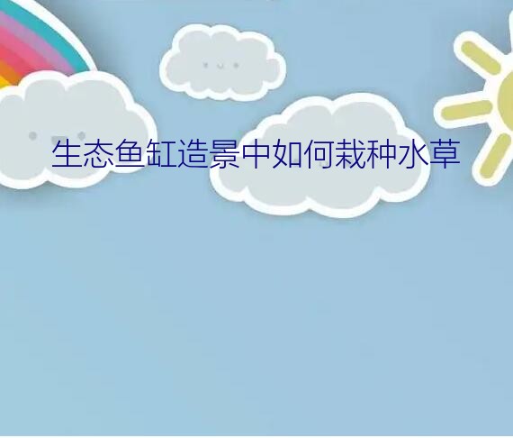 生态鱼缸造景中如何栽种水草？四季常青的水生植物，适合养在鱼缸里的有哪些