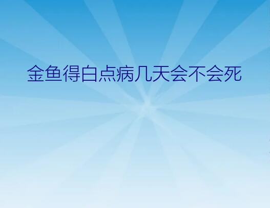 金鱼得白点病几天会不会死