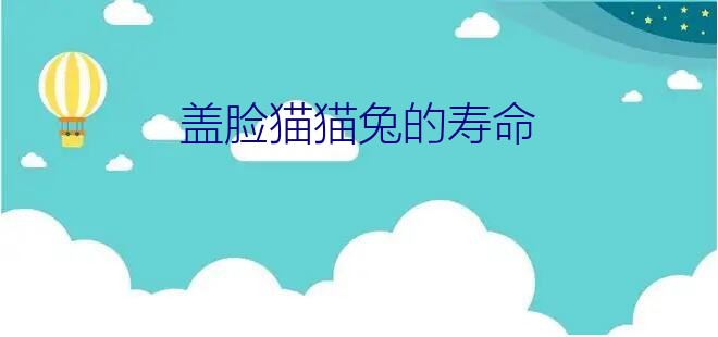 盖脸猫猫兔的寿命？分辨一下安哥拉兔