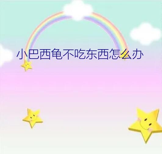 小巴西龟不吃东西怎么办